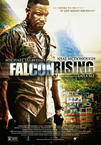 Смотреть трейлер Falcon Rising (2014)