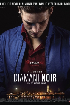 Смотреть трейлер Diamant noir (2015)