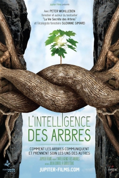 Смотреть трейлер L'Intelligence des Arbres (2017)