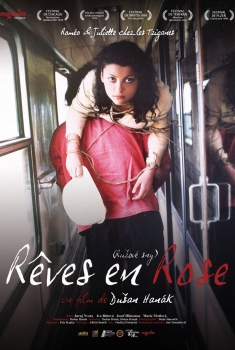 Смотреть трейлер Rêves en rose (1977)