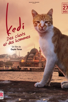 Смотреть трейлер Kedi - Des chats et des hommes (2017)