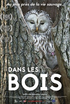 Смотреть трейлер Dans les bois (2019)