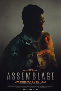 Assemblage (2024) Streaming