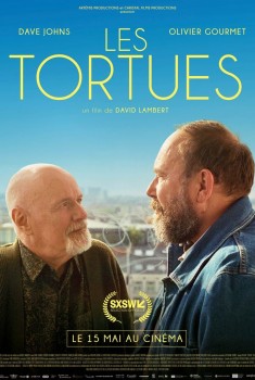 Les Tortues (2024) Streaming